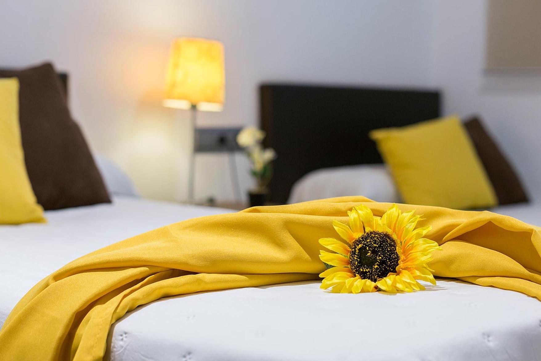 Playa Victoria Paseo Maritimo 3 Rooms Cádiz Kültér fotó
